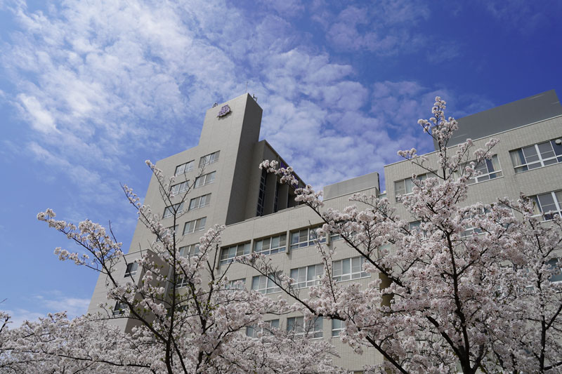 2024年4月7日　校友会ホームカミングデー～2024スプリングフェスティバル～　写真