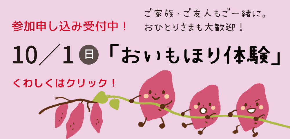2023年10月1日日曜日、神戸市北区の幸田農園にて「おいもほり体験」開催します。ぜひご参加ください！！
