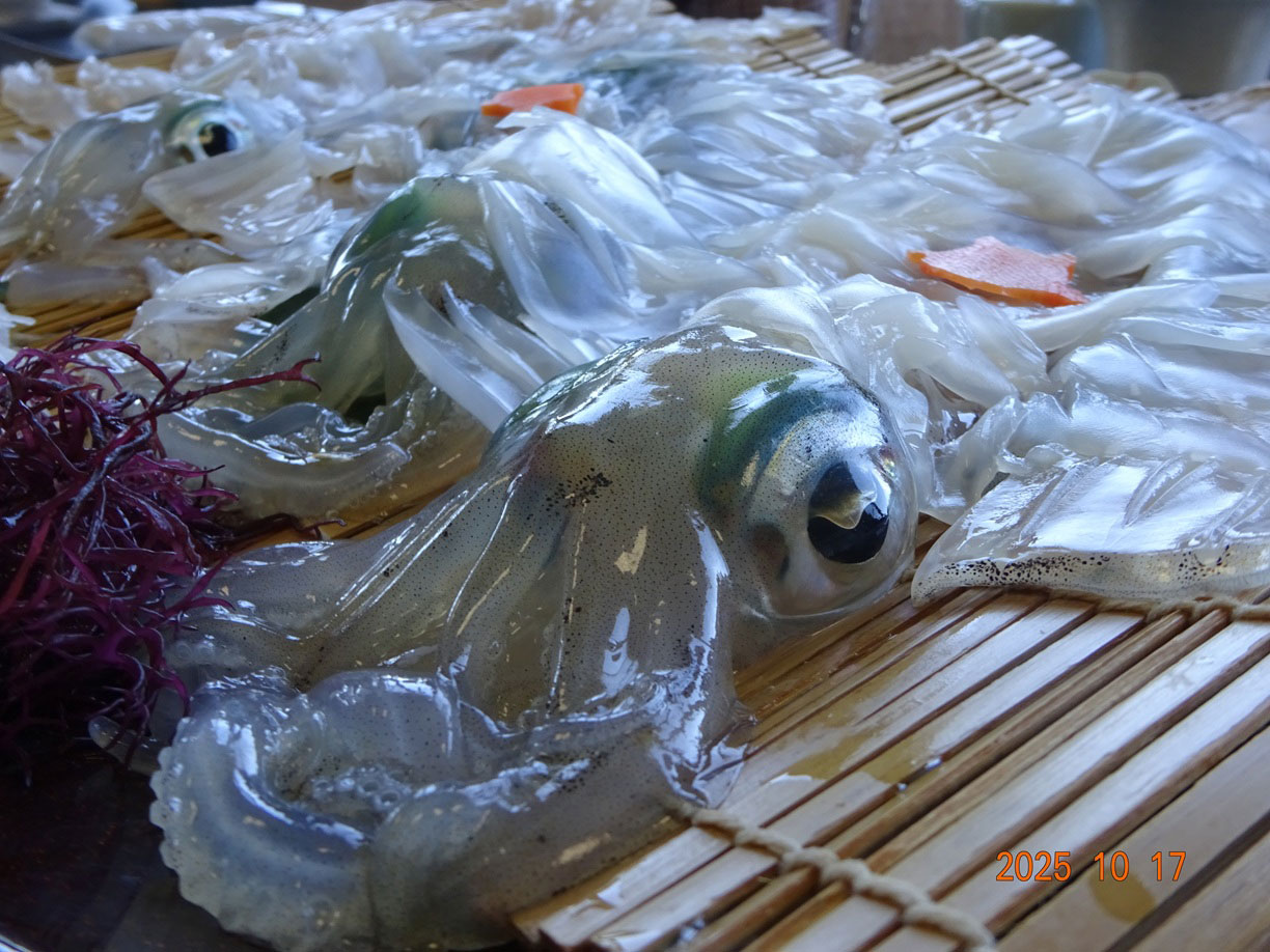 「14期会「唐津・名護屋城の旅」にまぜていただきました」原口 和博(20期・経)6/6