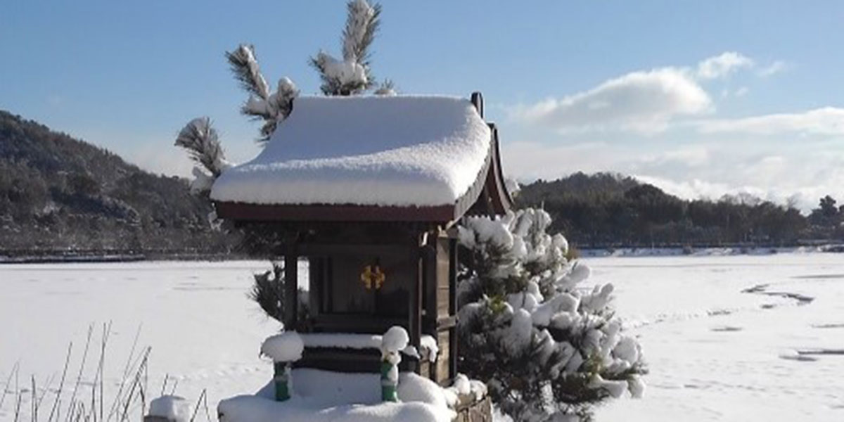 2023年12月の一枚：三村 公人さん（7期）「雪の京都嵯峨野（さがの）広沢池・観音島の弁天堂」