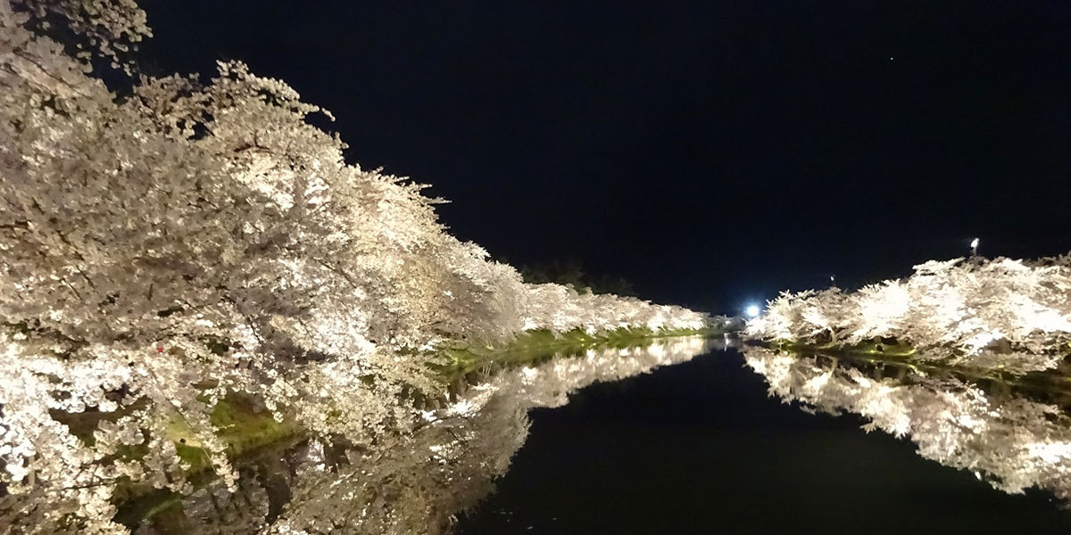 2025年4月の一枚:原口 和博さん(20期)弘前水鏡(ひろさき みずかがみ)(弘前城春陽橋たもとのライトアップ)