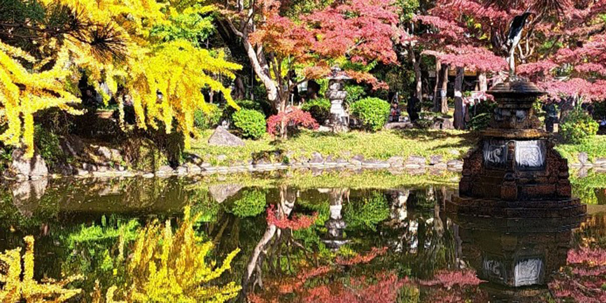 2025年11月の一枚：多田　孝男さん（19期）「日比谷公園・雲形池のほとり」