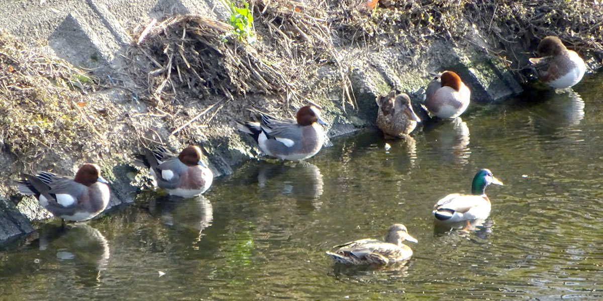 2025年12月の一枚：原口　和博さん（20期）「極東ロシアからのお客様」