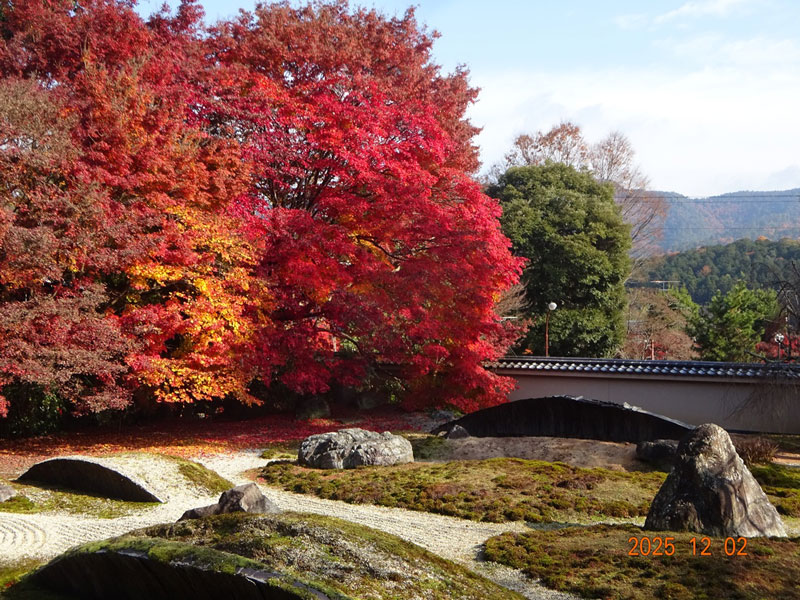 原口　和博さん（20期・経）「インバウンド客もまばらな京都穴場ツアー」