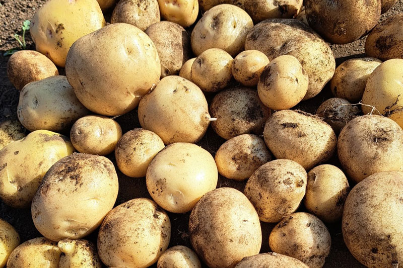 多田　孝男さん（19期・経）「今年もよろしくお願いいたします」