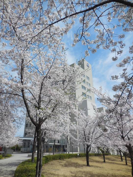 �����ɂ����

�����x�̐��x�Ŏ����I�ɐ������ꂽ����