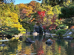 ֐wqG 40ymuH̛Rӂ`KChƋɋs̏HƗjP`vʐ^