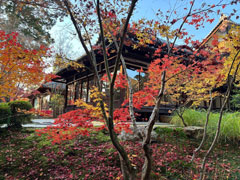 ֐wqG 40ymuH̛Rӂ`KChƋɋs̏HƗjP`vʐ^