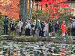 ֐wqG 40ymuH̛Rӂ`KChƋɋs̏HƗjP`vʐ^