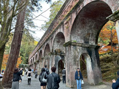 ֐wqG 40ymuH̛Rӂ`KChƋɋs̏HƗjP`vʐ^